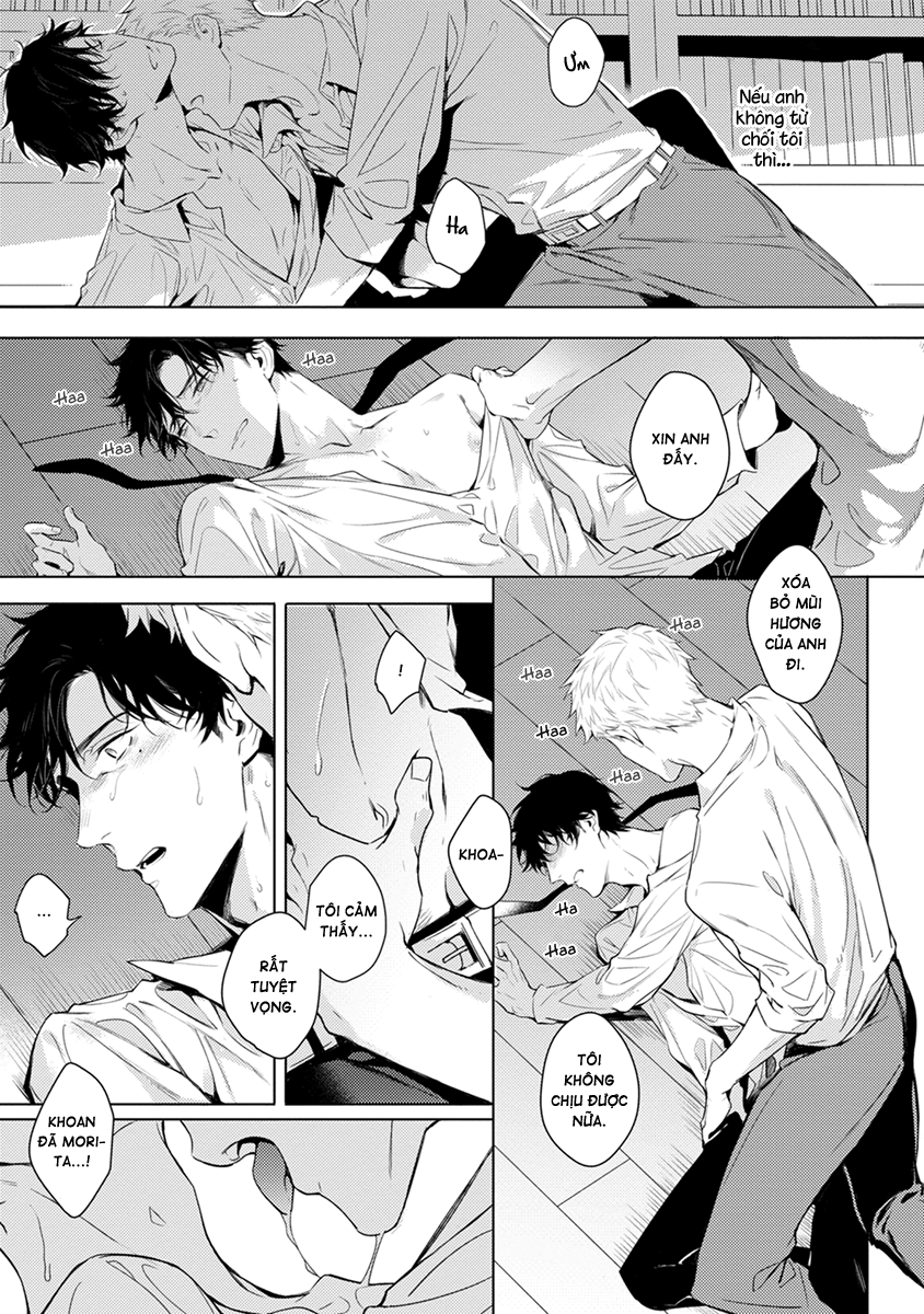 alpha thứ hai chapter 4 23