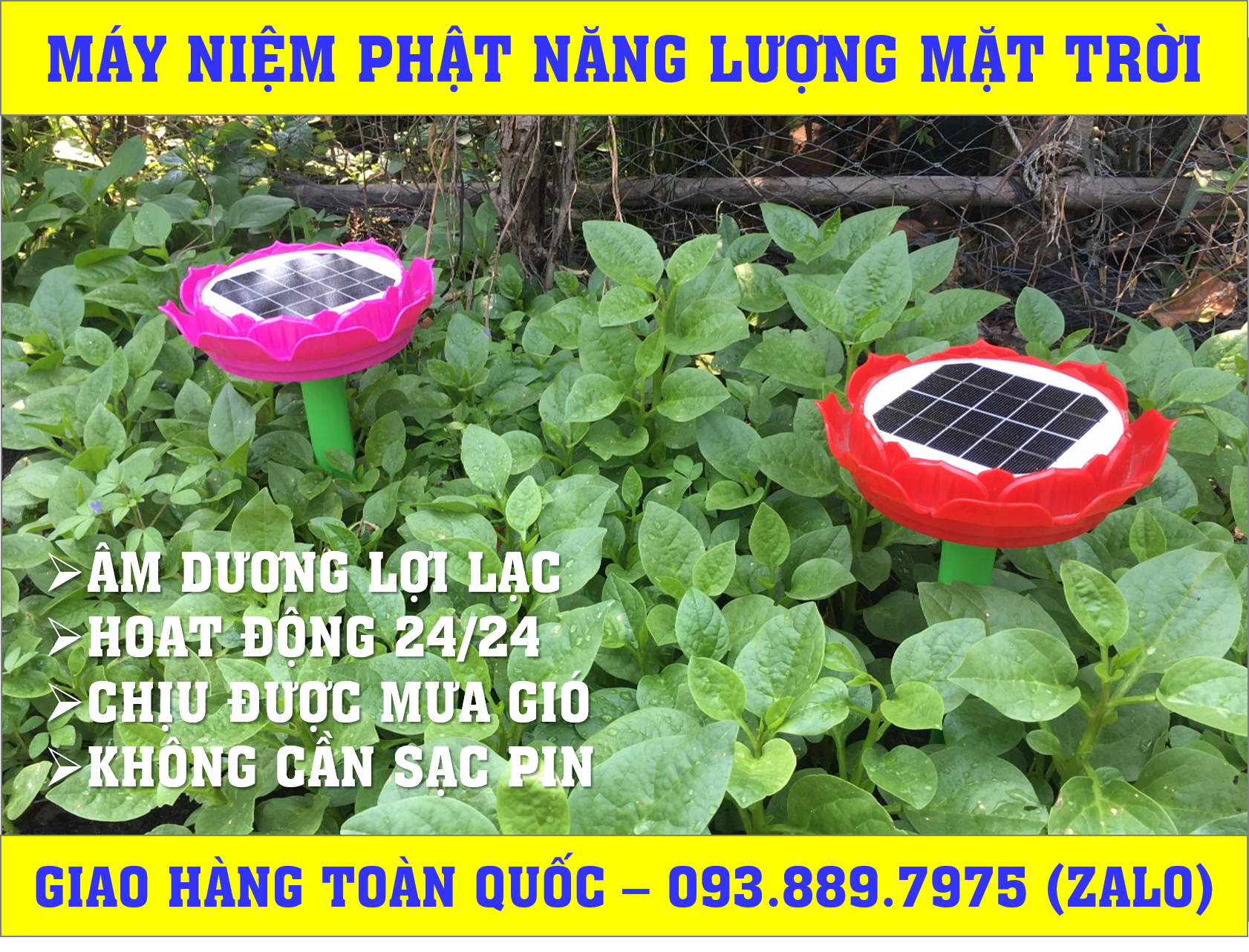 Máy Niệm Phật Năng Lượng Mặt Loại Cao Cấp- Siêu Bền