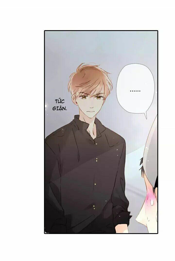 Tình yêu là màu hoa anh thảo chapter 24.2 3