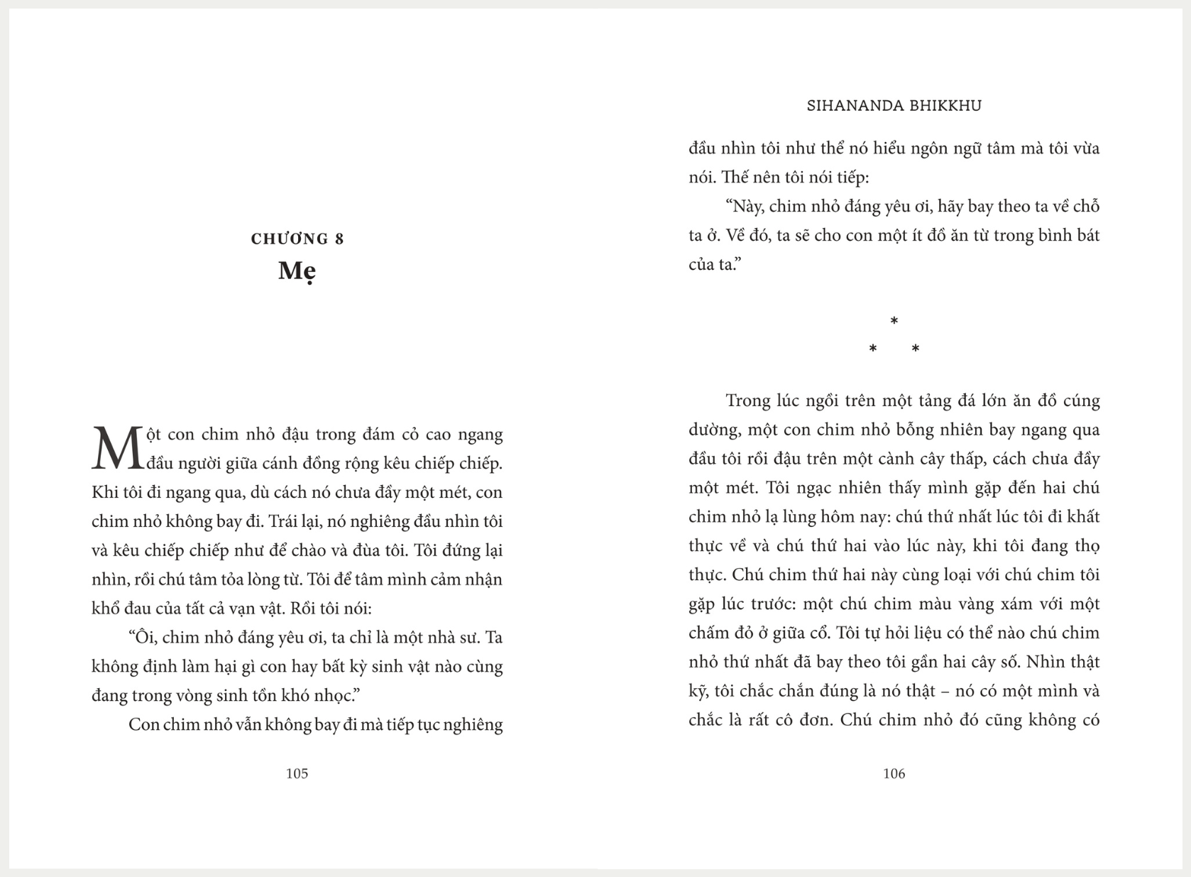 Nhìn kỹ! Thấy rõ! - Sihananda Bhikkhu - Sáng Books