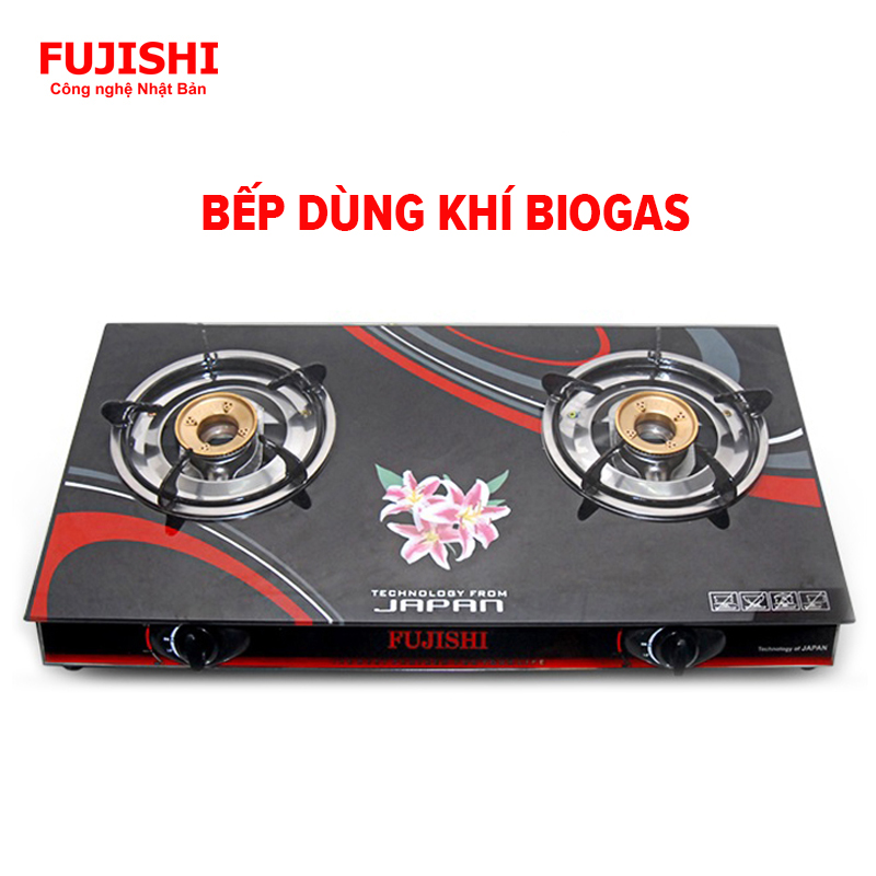 Bếp gas đôi BIOGAS mặt kính chén đồng Fujishi FJ-BG3 - (Bếp chỉ dùng khí BIOGAS) - Hàng chính hãng