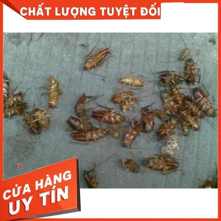 TRI ÂN KHÁCH HÀNG - Combo hai lọ thuốc diệt kiến gián ANBIO