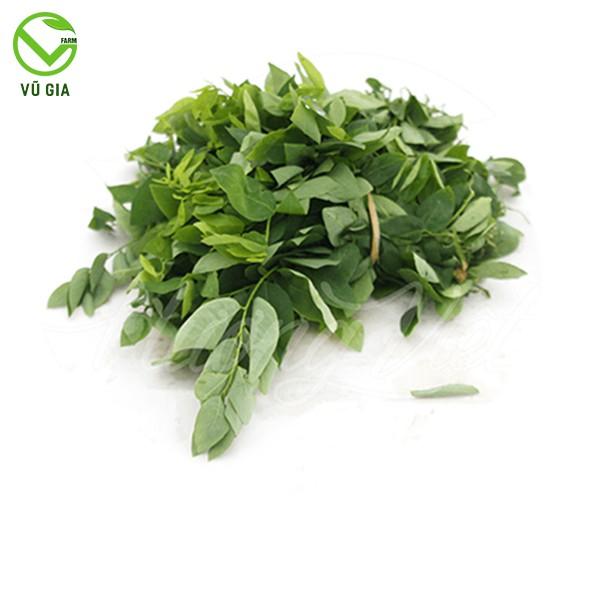 Bột Rau Ngót Sấy Lạnh Nguyên Chất Vũ Gia (50g/ túi)