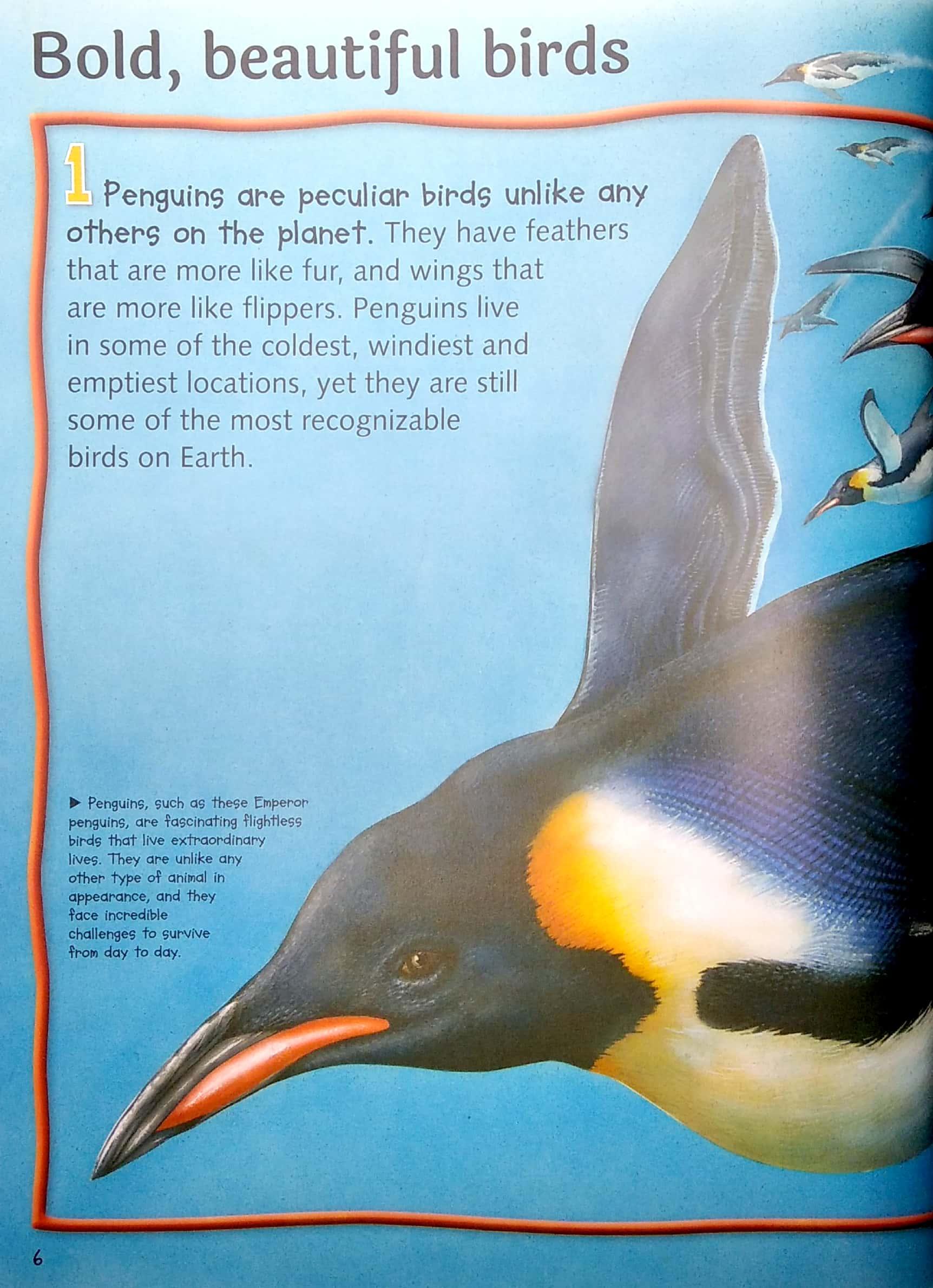 100 Facts Penguins