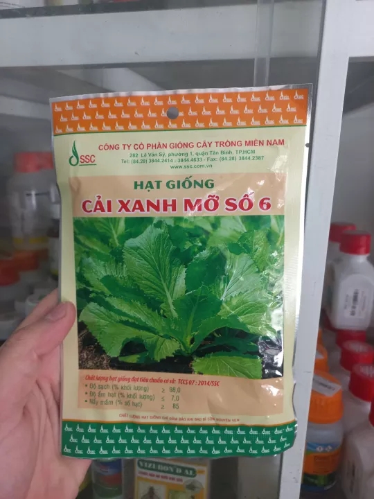 Hạt giống cải xanh mỡ số 6 SSC 10g