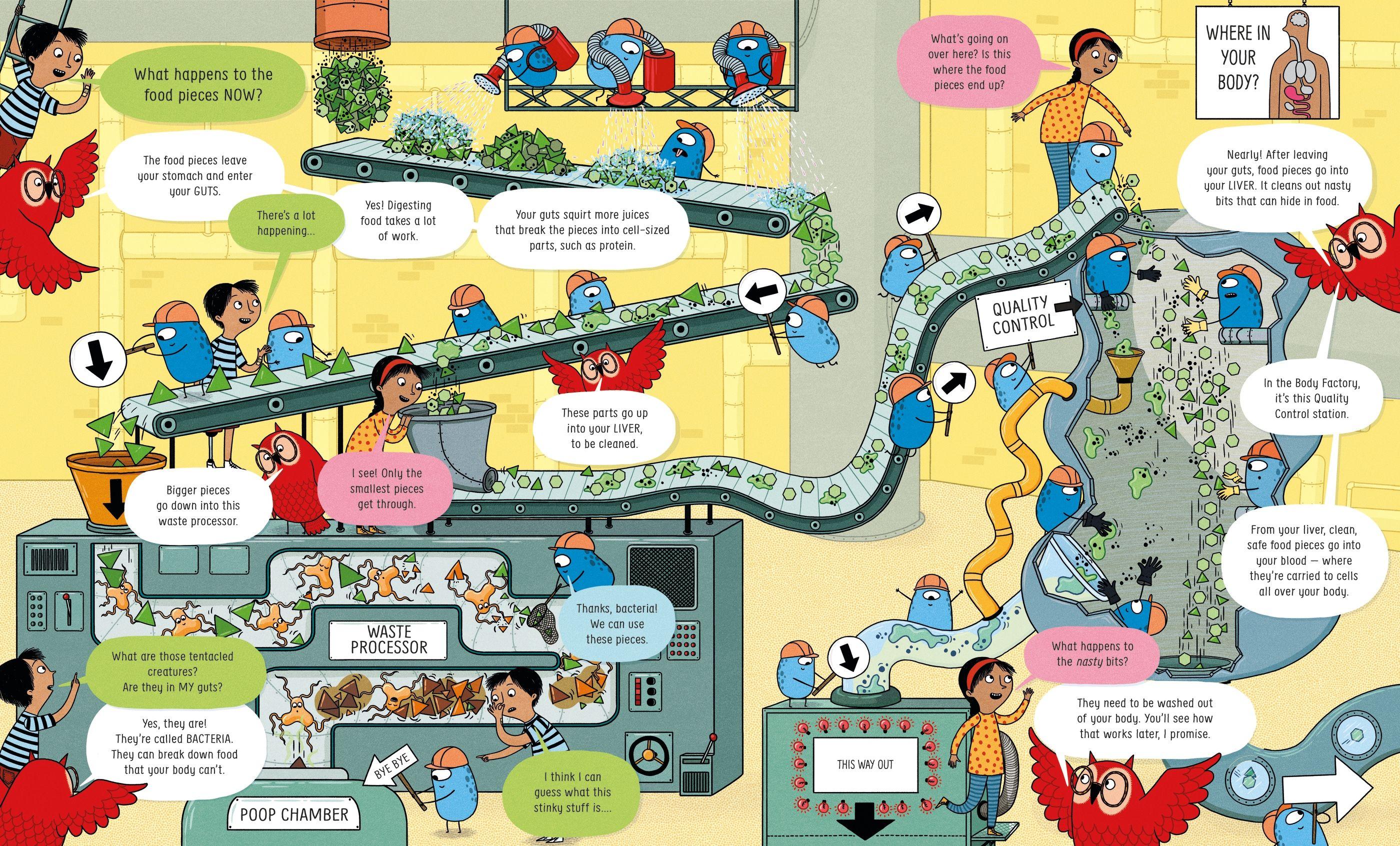 Sách ngoại văn: Usborne Book Of The Body And How It Works