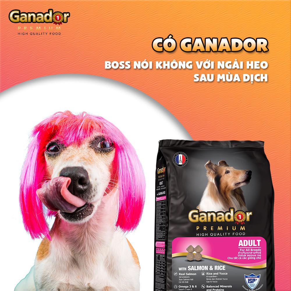 COMBO 5 gói thức ăn Ganador cho chó trưởng thành vị cá hồi và gạo - Adult with Salmon & Rice 400g