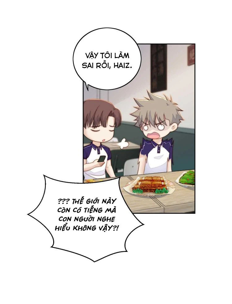 tôi bảo bạn cùng bàn đánh cậu chapter 69 11