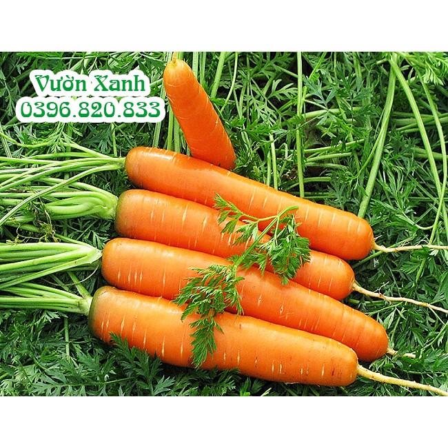 Hạt giống cà rốt ta ngọt, dễ trồng 2gr/ gói
