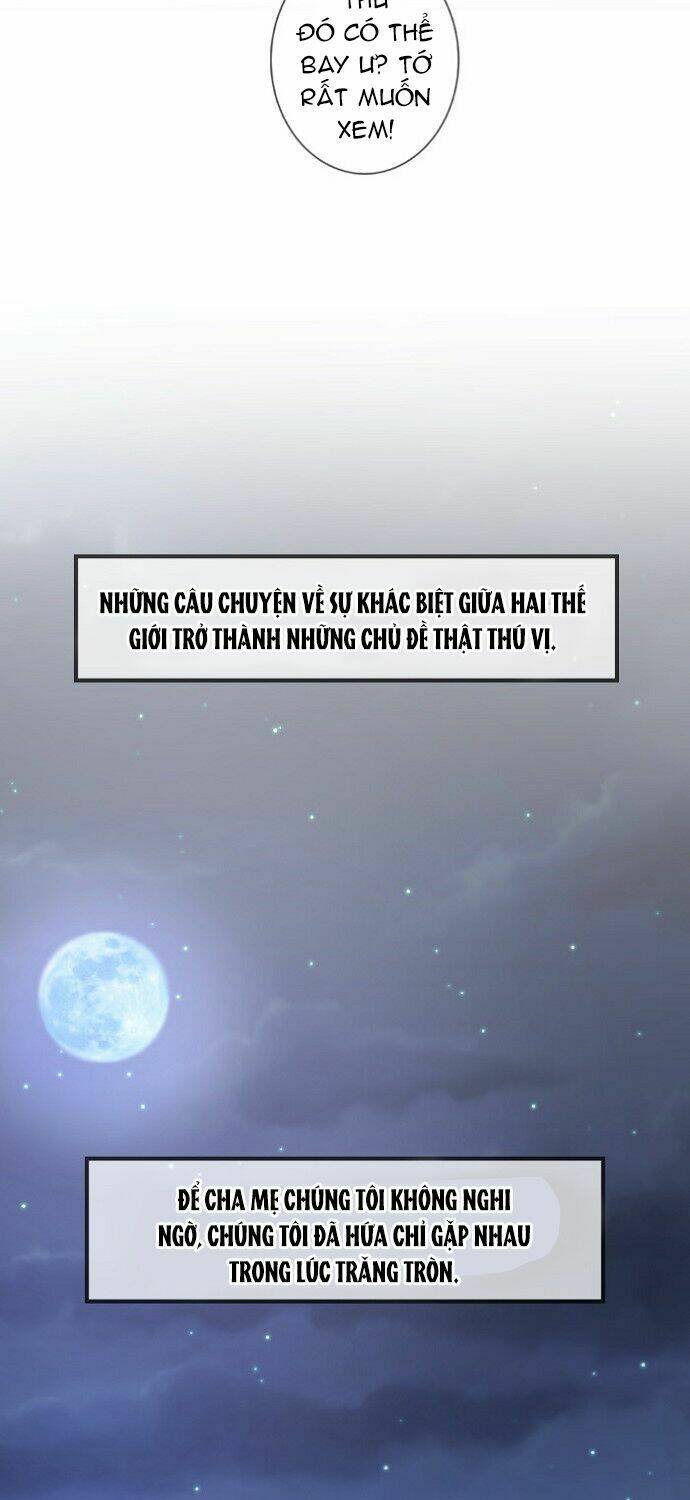 huyền thoại biển xanh chapter 1 38