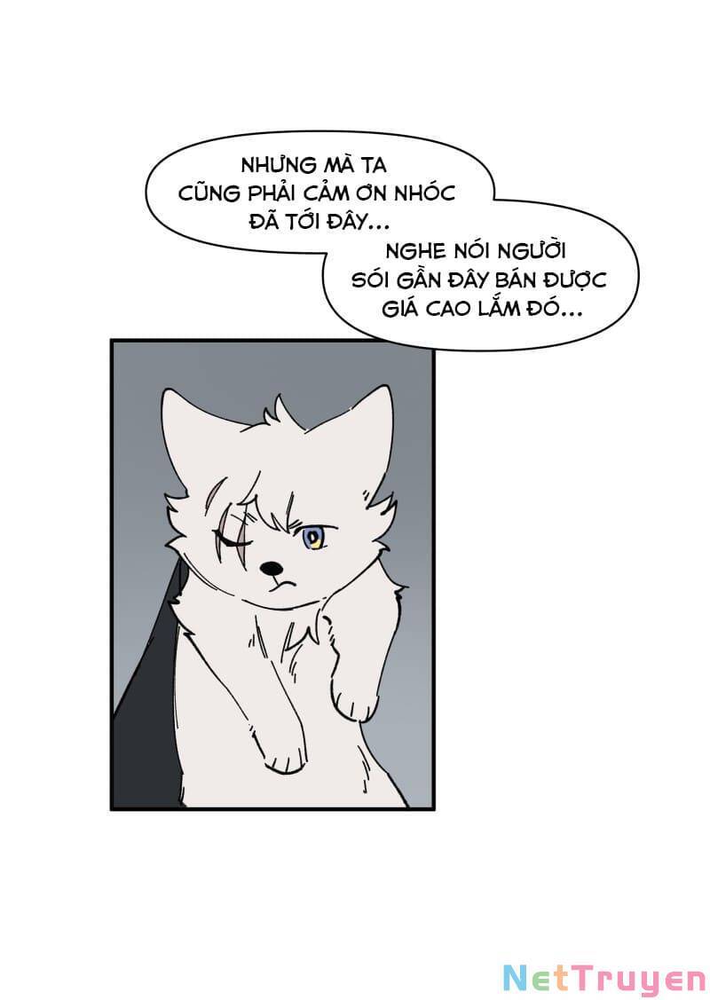 lumine - cội nguồn ánh sáng chapter 157 9