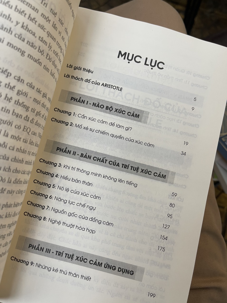 (The #1 Bestseller)  TRÍ TUỆ XÚC CẢM  - Lý giải tại sao người kém thông minh lại thành công hơn những người thông minh - Daniel Goleman - Nguyễn Lê Phương &amp; Phạm Thị Thu Hà dịch - Alphabooks -Nhà Xuất Bản Công Thương