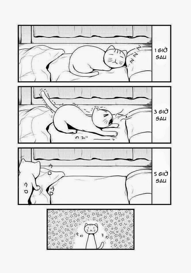 nekogurui minako-san chapter 1 7