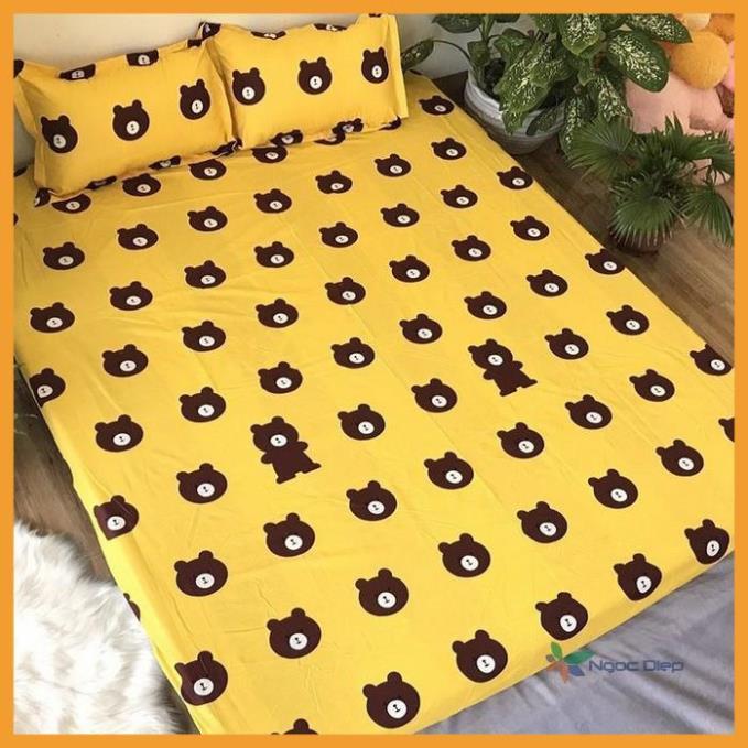 Bộ ga gối poly cotton gấu vàng