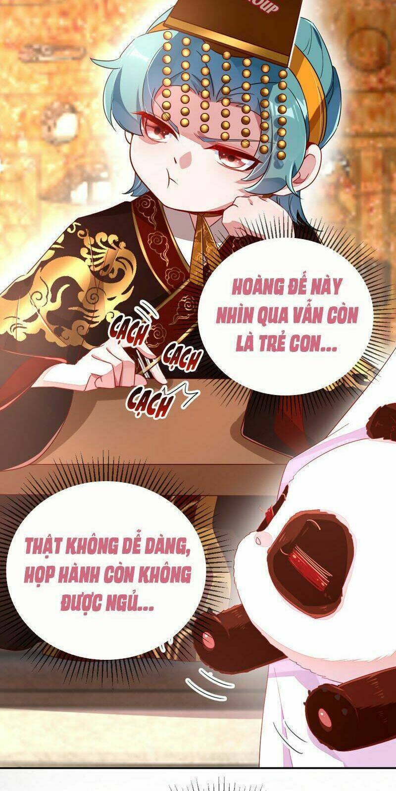 thiên thần gấu trúc muốn được ôm chapter 40 7