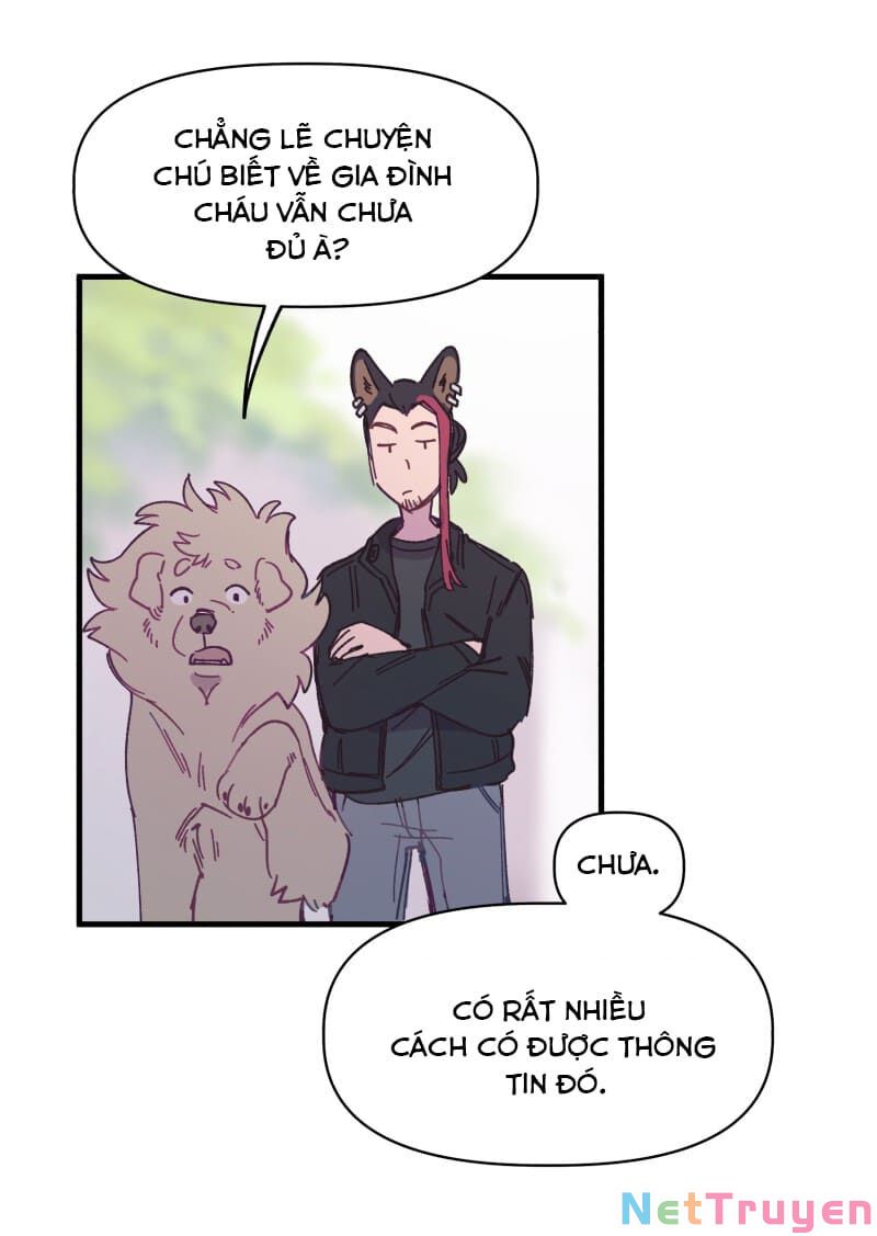 lumine - cội nguồn ánh sáng chapter 137 5