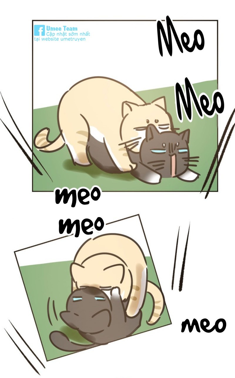 bắt lấy ngao ngao chapter 25 38