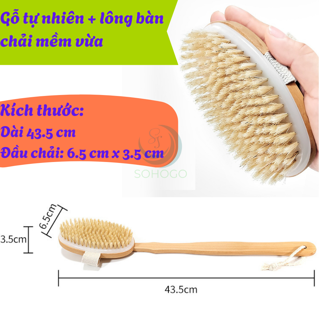 Bàn chải tắm cán dài bằng gỗ tự nhiên - Bàn chải massage cơ thể cao cấp - Cọ tắm khô &amp; ướt cán dài tiện lợi - Bàn chải chà lưng chống tế bào chết - Bàn chải tắm toàn thân spa tại nhà