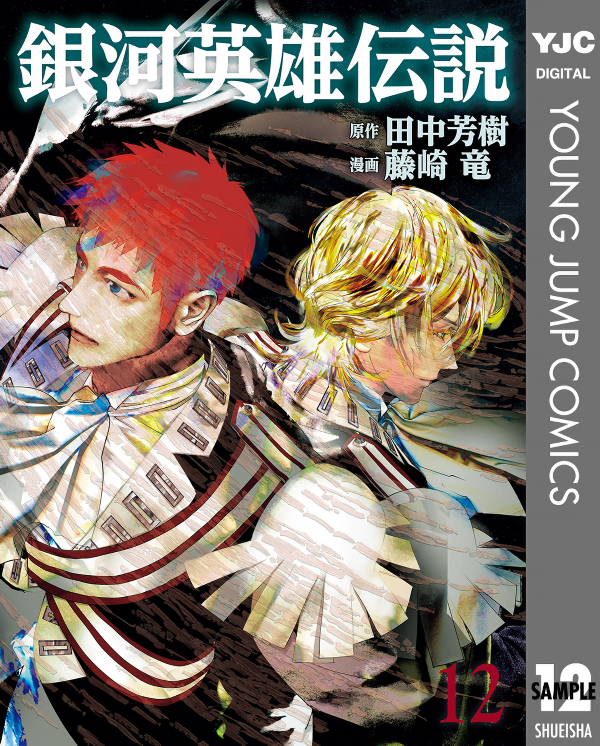 Ginga Eiyuu Densetsu 12 - Legend Of The Galactic Heroes 12 (Japanese Edition)