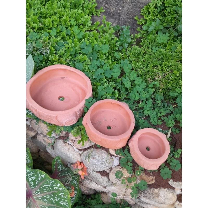Chậu trồng cây mini - chậu trồng bonsai - chậu trồng sen đá