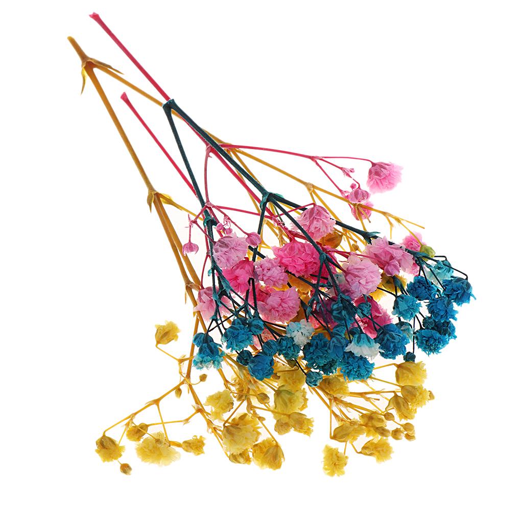 Túi Hoa Ép Khô Dùng Trang Trí Thủ Công Đa Năng