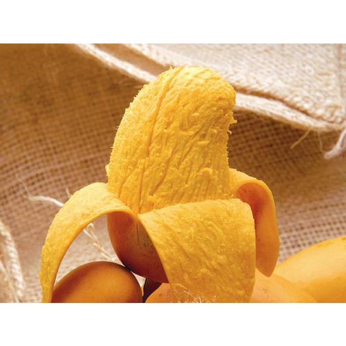 Cây giống Xoài Thanh Ca ĐÃ CAO GẦN 2M RỒI trồng chậu được.
