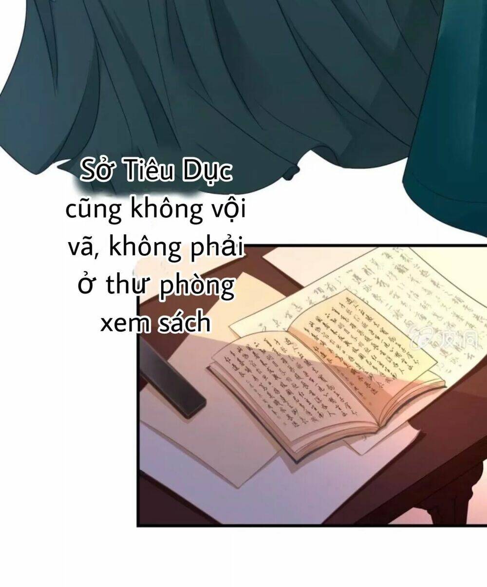 sủng phi của vương chapter 66 5