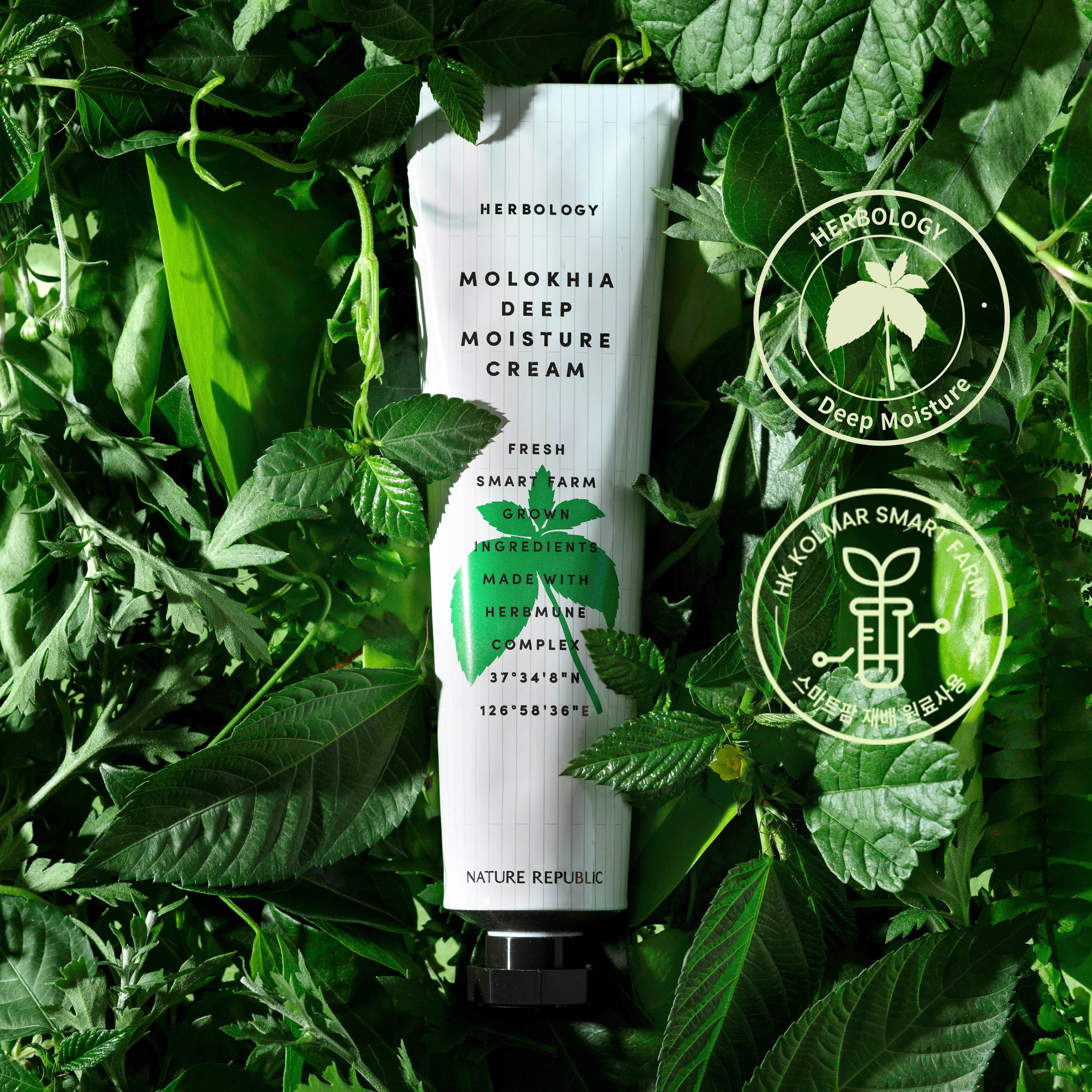 Kem dưỡng Nature Republic Herbology Molokhia Deep Moisture Cream 70ml