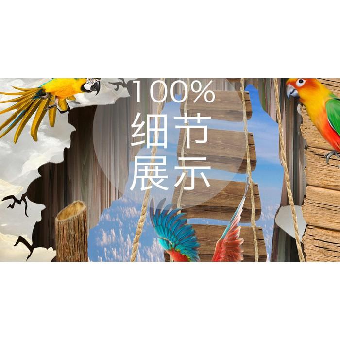 Tranh dán tường 3D Vẹt Nam Mỹ MS02