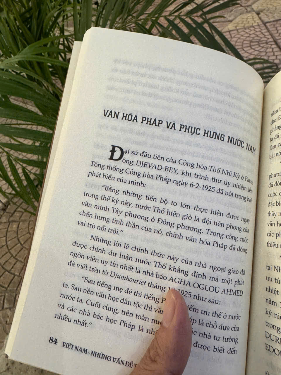 VIỆT NAM NHỮNG VẤN ĐỀ VĂN HÓA VÀ CHÍNH TRỊ – Phạm Quỳnh - Đông Tây - NXB Hà Nội