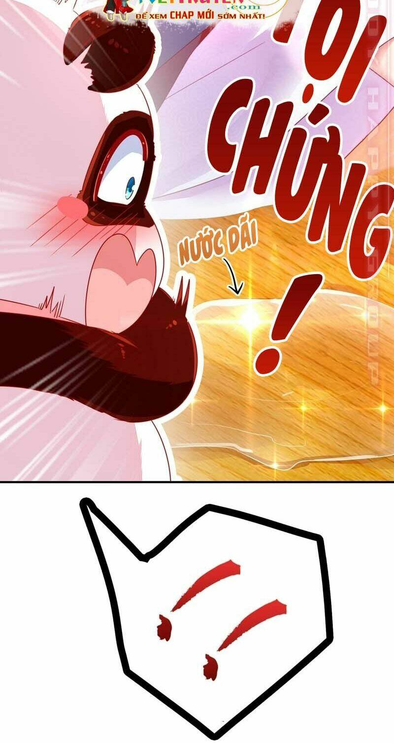 thiên thần gấu trúc muốn được ôm chapter 61 14