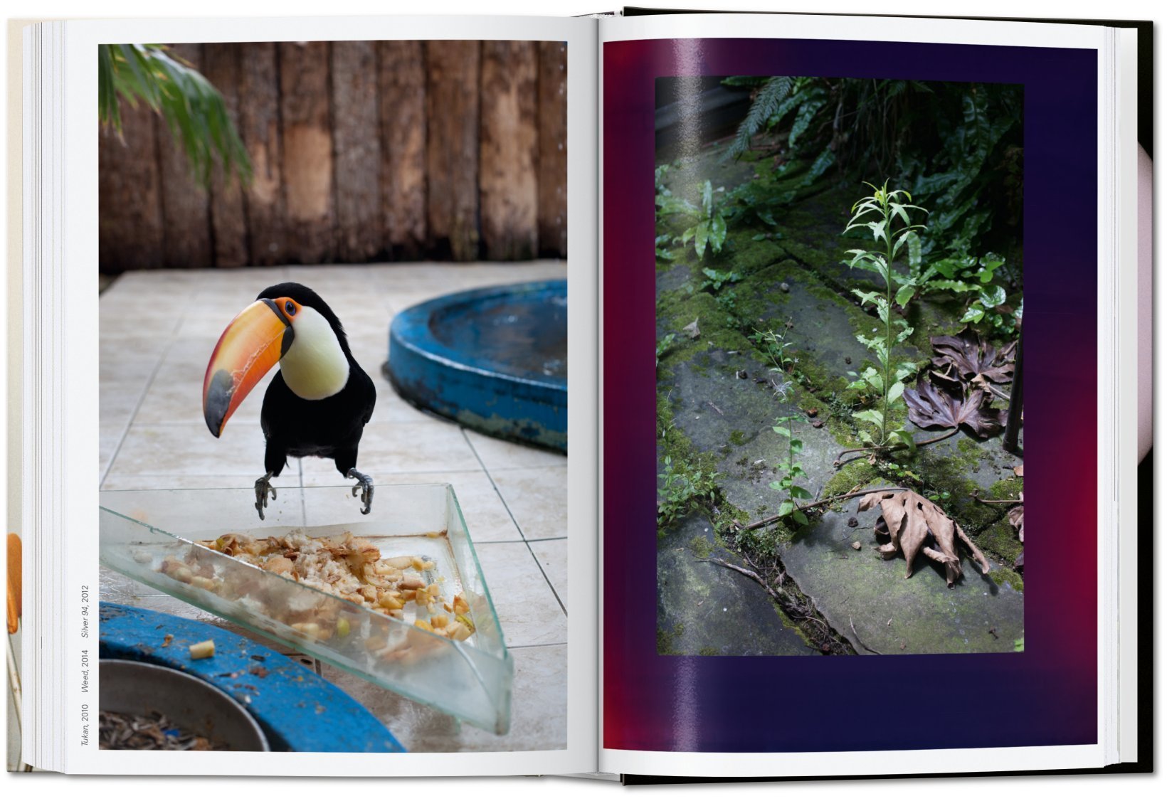 Artbook - Sách Tiếng Anh - Wolfgang Tillmans: four books