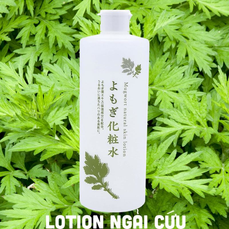 Lotion Dưỡng Ẩm Và Làm Dịu Da Chiết Xuất Từ Lá Ngải Cứu Chinoshio Mugwort Natural Skin Lotion (500ML)