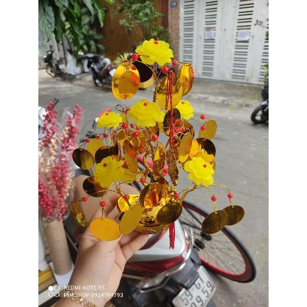 Cây kim tiền hoa mẫu đơn vàng cát tường ~25cm thành phẩm phk shop