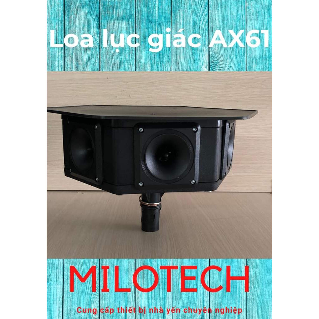 Loa lục giác AX61/ AX65