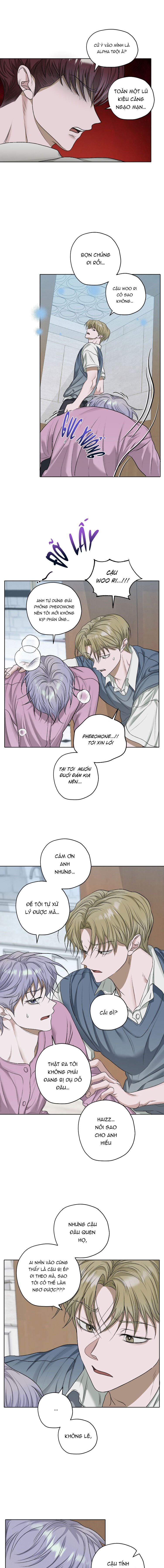 đoá hoa trên mặt hồ chapter 32 5