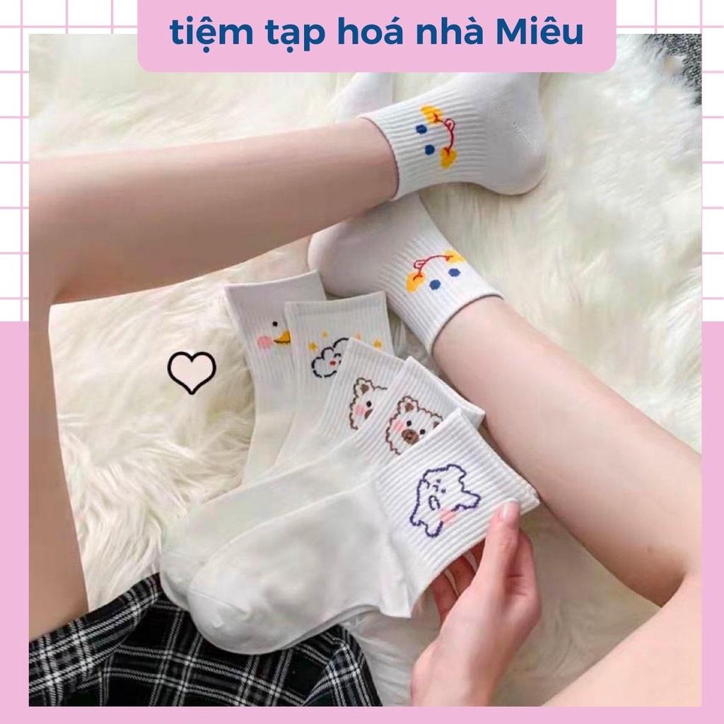 Tất nữ cổ ngắn chất liệu cotton co giãn bốn chiều, set vớ dễ thương - tiệm tạp hoá nhà Miêu