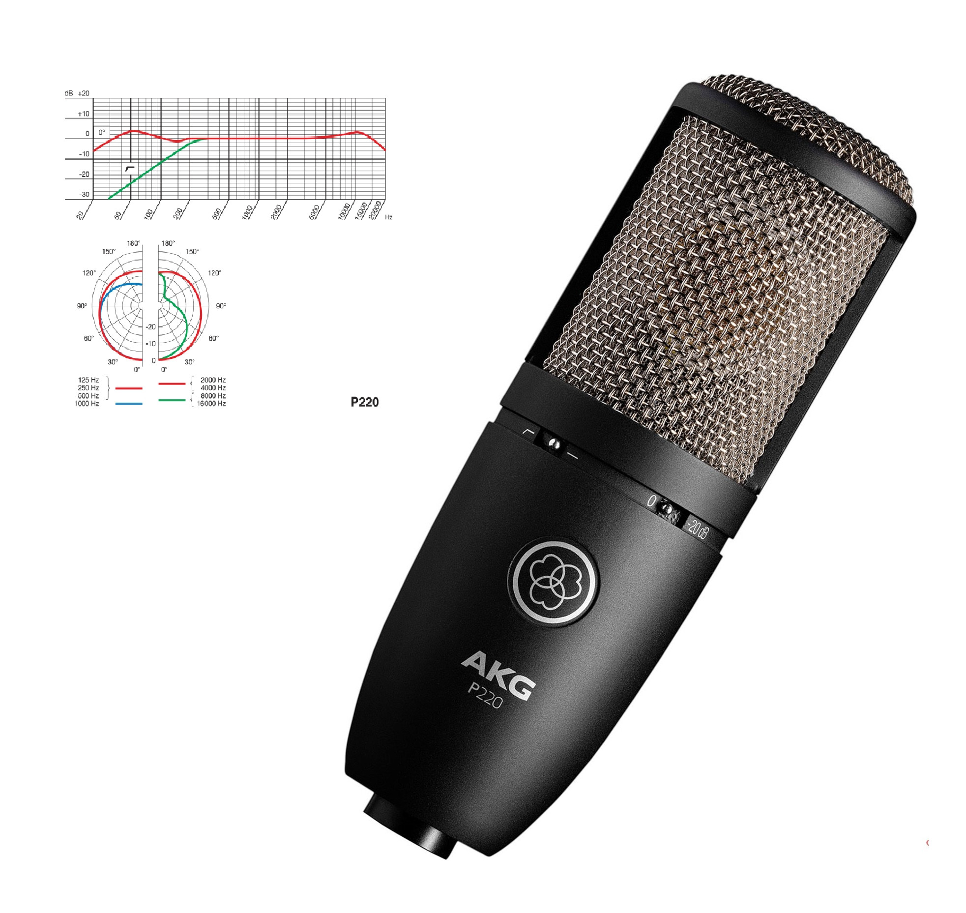 Micro thu âm AKG P220 - mic thu âm chuyên nghiệp cho phòng thu và hát livestream - Hàng chính hãng