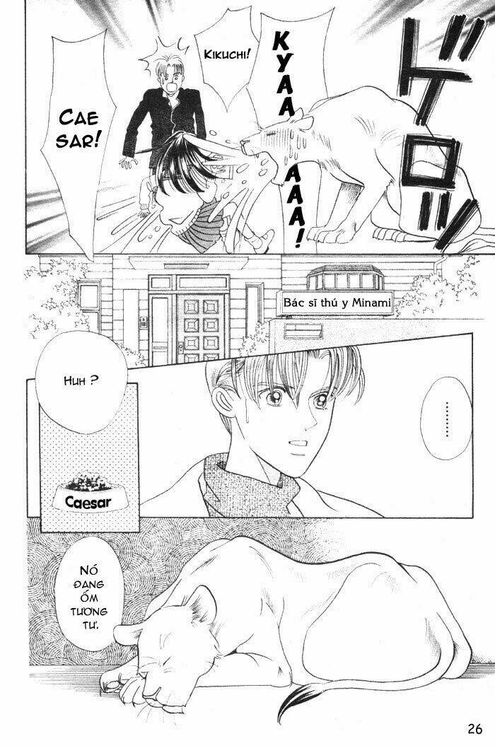 wild cats chapter 1 29