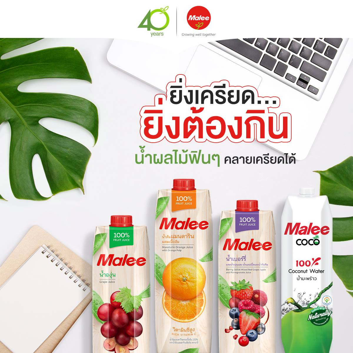 Nước Ép Berry Và Trái Cây Hỗn Hợp Malee 1L (Thái Lan)