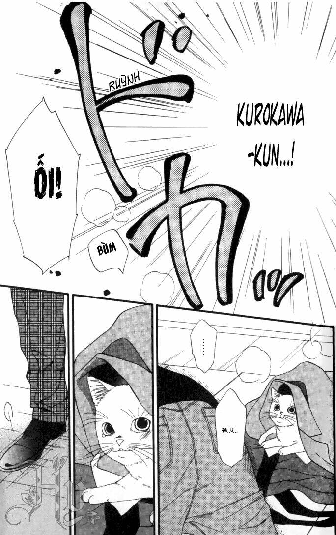 neko neko honey chapter 6 24