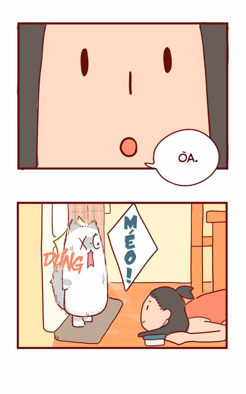 saphie: chú mèo một mắt chapter 13 12