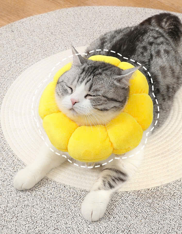 VÒNG CỔ THÚ CƯNG VÒNG CỔ LOA CHỐNG LIẾM CHO THỎ CHÓ MÈO BÔNG HOA DỄ THƯƠNG TỪ 0.5-5.5KG MÃ 10 CHO CHÓ MÈO THỎ