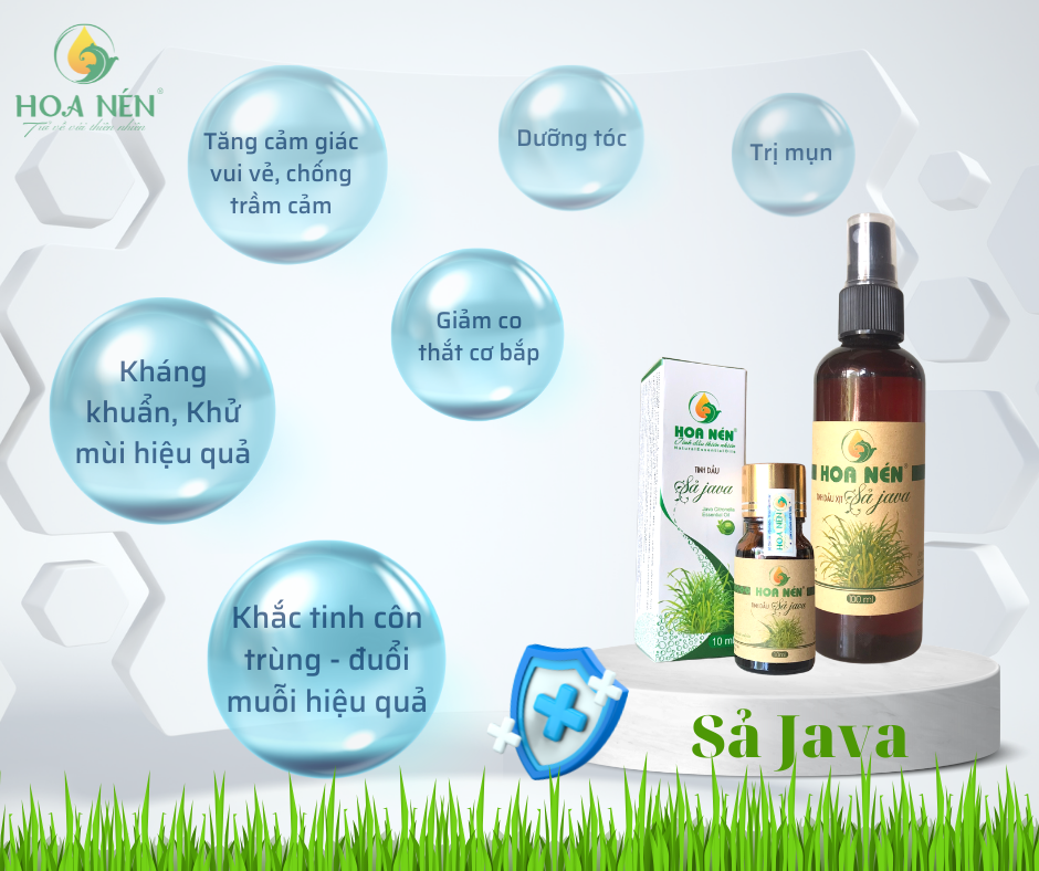 Tinh dầu Sả Java nguyên chất 50ml - Hoa Nén - Khử mùi, thanh lọc không khí, làm thơm