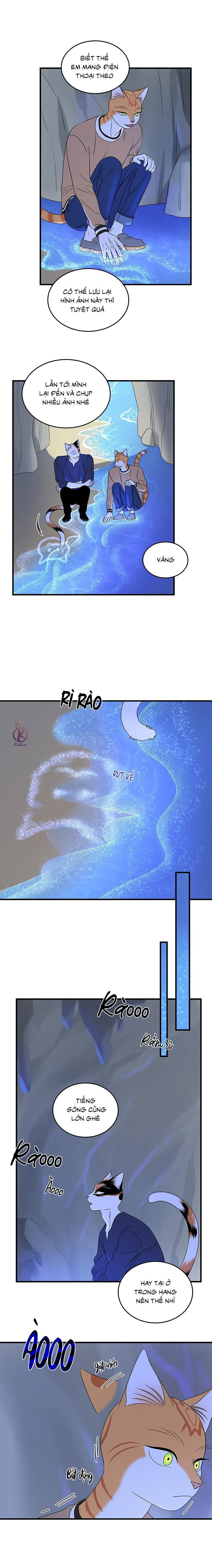 dự án xanh chapter 50 9