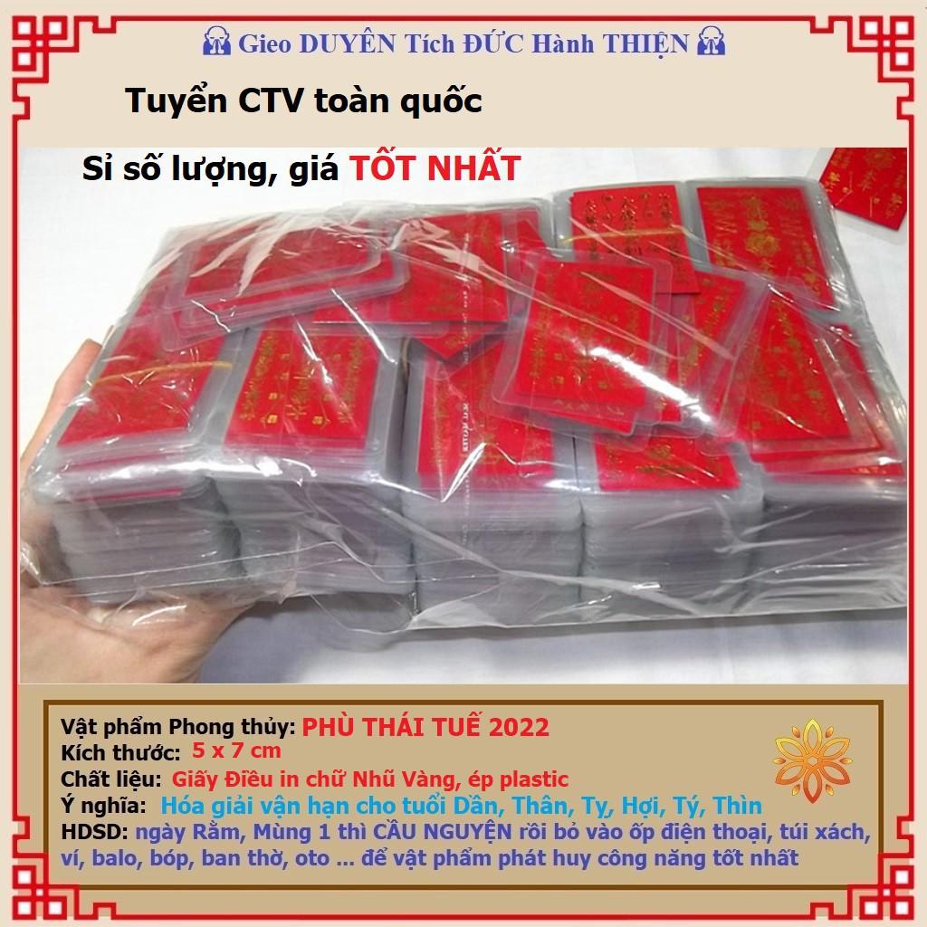 Thái Tuế năm 2022 - Phù Thái Tuế Nhâm Dần năm 2022 vi