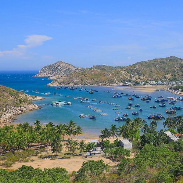 Tour Bình Hưng - Lặn Ngắm San Hô 2N2Đ, Xe Giường Nằm, Khởi Hành Tối Thứ 6 Hàng Tuần & Dịp Lễ Tết