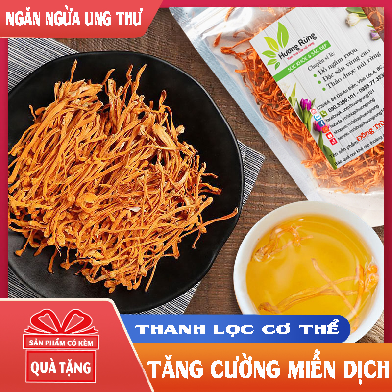 ĐÔNG TRÙNG HẠ THẢO 100G loại thượng hạng