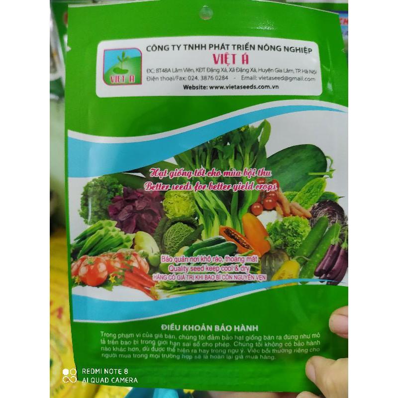 Hạt giống dưa hấu Hoàng Châu F1 gói 10g
