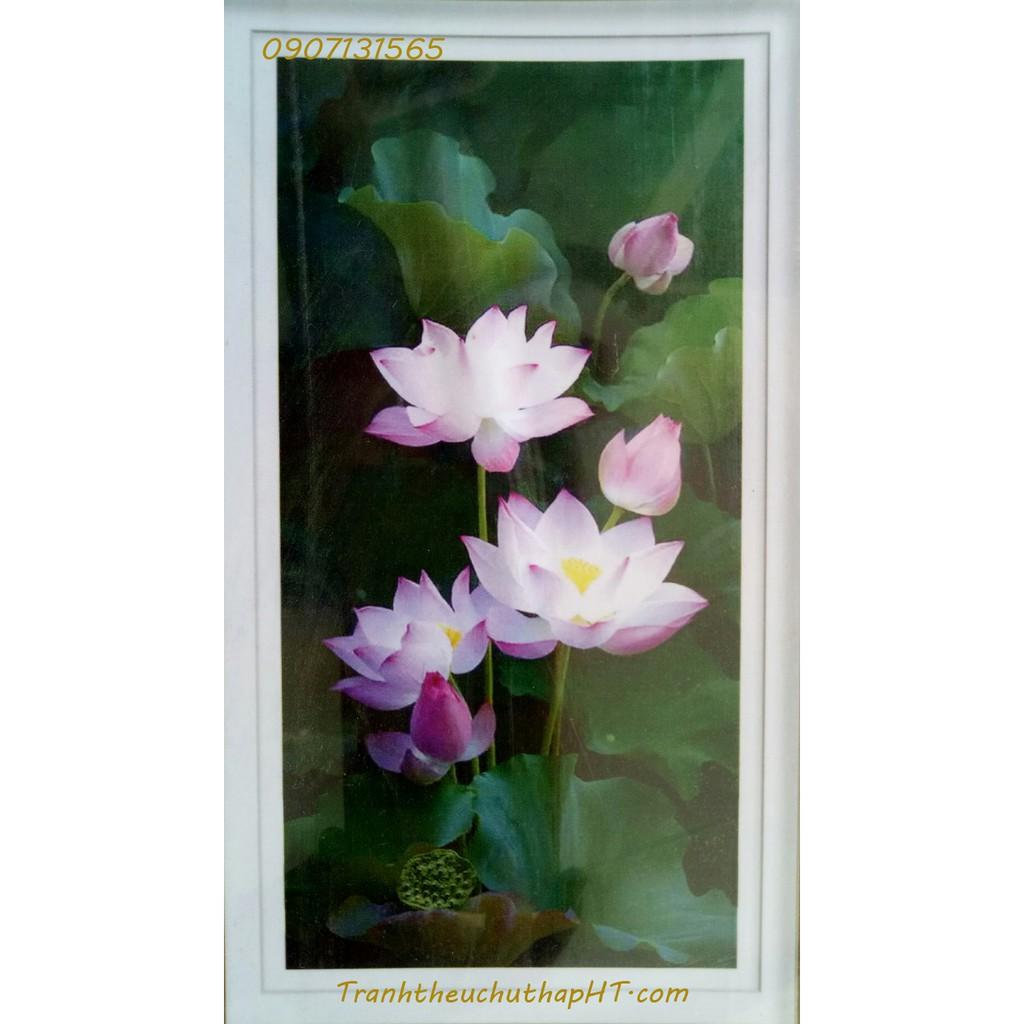 Tranh đính đá Hoa sen khoe sắc LV246